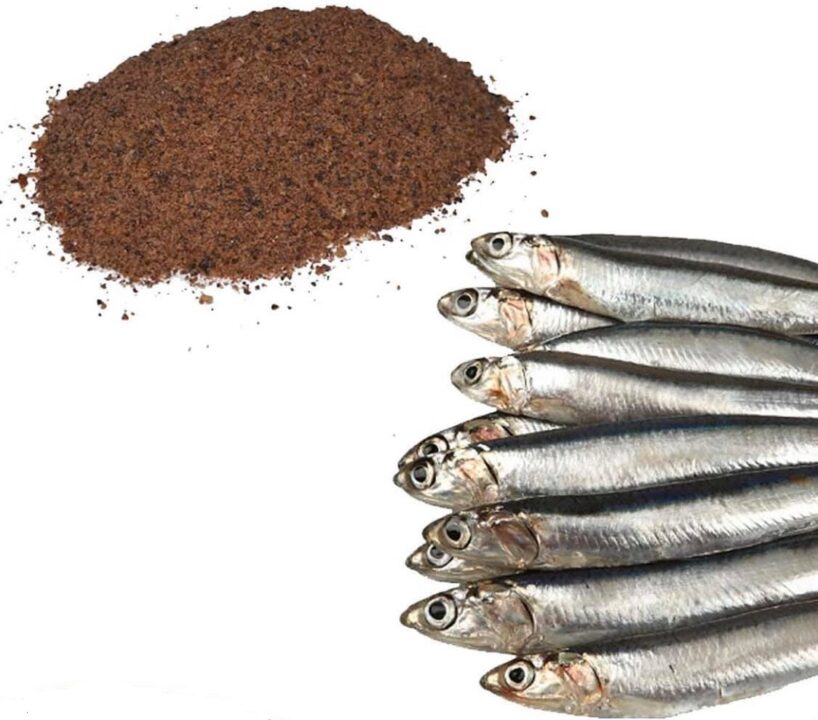 HARINA DE SARDINA 1