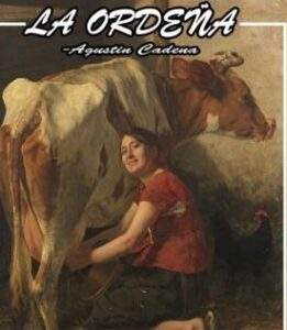 WhatsApp Image 2020-05-28 at 16.30.07