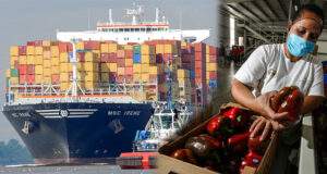 exportaciones-agroalimentarias