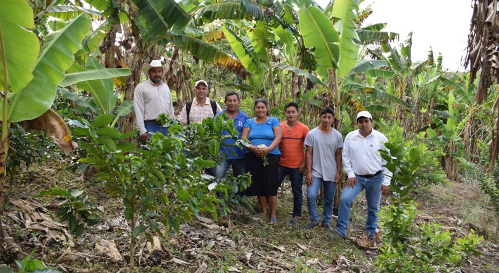 441_chiapas-1024x561