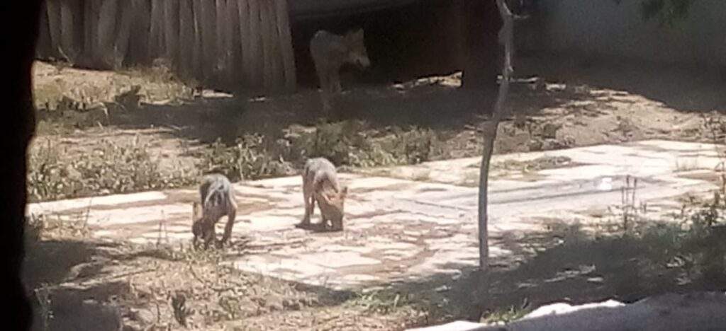 5efa47cb6b179004046765