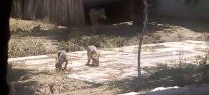 5efa47cb6b179004046765