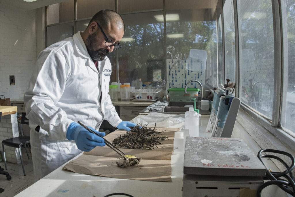 Analiza la UNAM fertilidad del suelo con materia orgánica