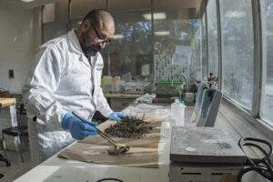 Analiza la UNAM fertilidad del suelo con materia orgánica