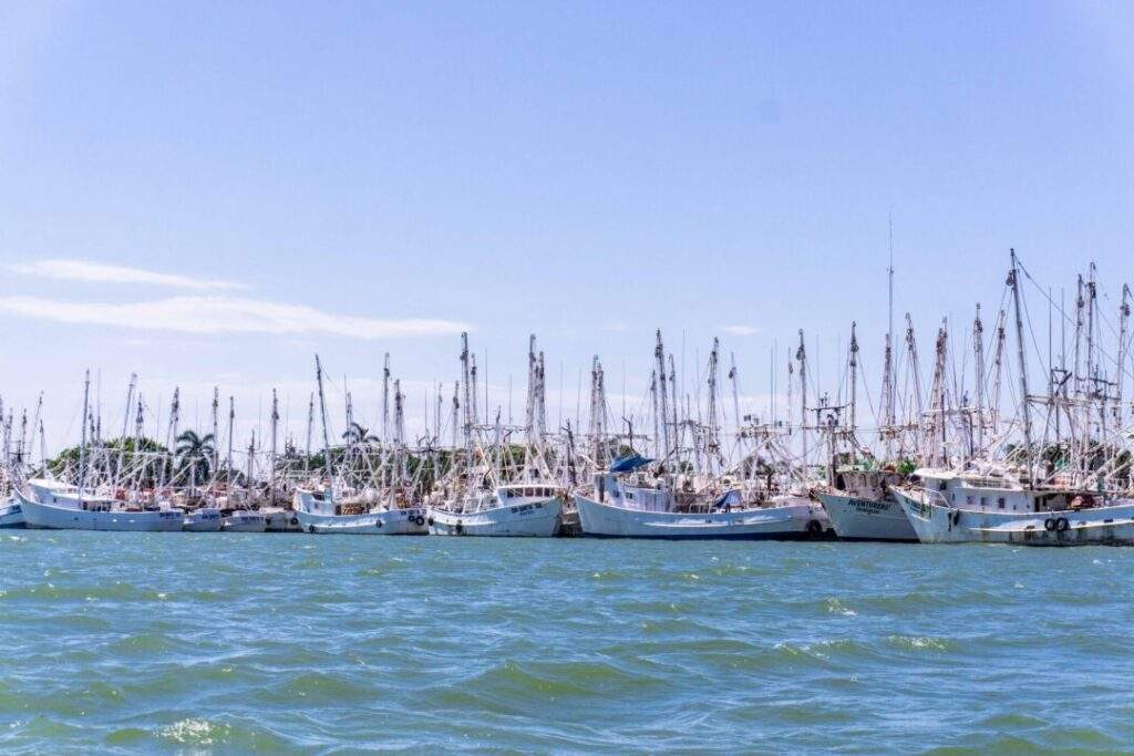 200814 AGRICULTURA AMPLIA ÉPOCAS Y ZONAS DE VEDA PARA CAPTURA DE CAMARÓN EN GOLFO DE MÉXICO Y MAR CARIBE 04