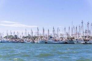 200814 AGRICULTURA AMPLIA ÉPOCAS Y ZONAS DE VEDA PARA CAPTURA DE CAMARÓN EN GOLFO DE MÉXICO Y MAR CARIBE 04