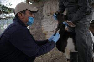 201821 AGRICULTURA SENASICA PREMIO NACIONAL DE SANIDAD ANIMAL-2