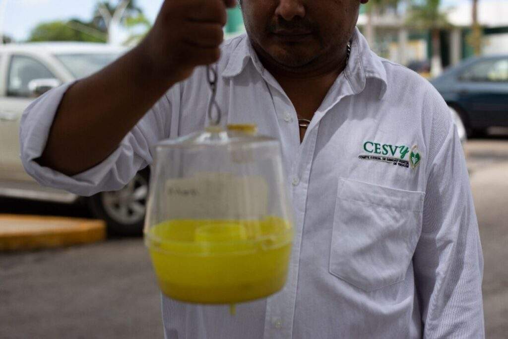 WhatsApp Image 2020-08-09 at 1.14.17 PM