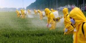 glifosatoefectossalud-660x330