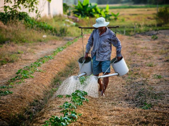 rescate-campo-mexicano-covid19