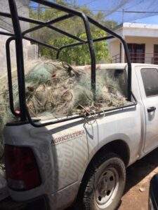 200909 AGRICULTURA CONAPESCA RETENCIÓN PRECAUTORIA DE 145.14 TONELADAS DE PRODUCTO PESQUERO Y MIL 451 DE MOLUSCOS 02