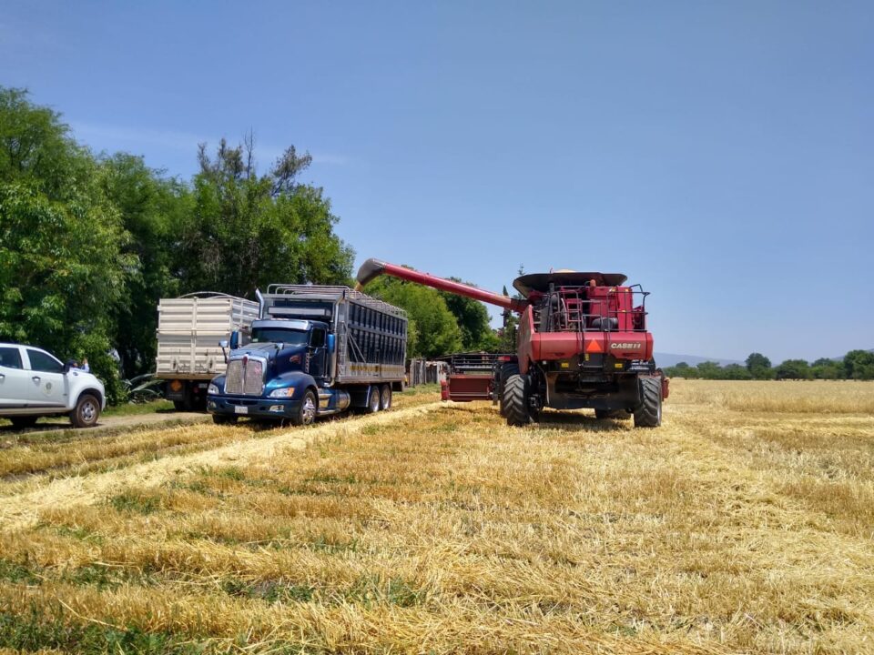 200910 AGRICULTURA E INDUSTRIA CERVECERA ACUERDAN USO DE SEMILLA CERTIFICADA A DE PRODUCTORES NACIONALES DE CEBADA 07