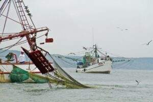 200912 AGRICULTURA LEVANTAMIENTO DE VEDA DE CAMARÓN EN EL OCÉANO PACÍFICO Y GOLFO DE CALIFORNIA 02