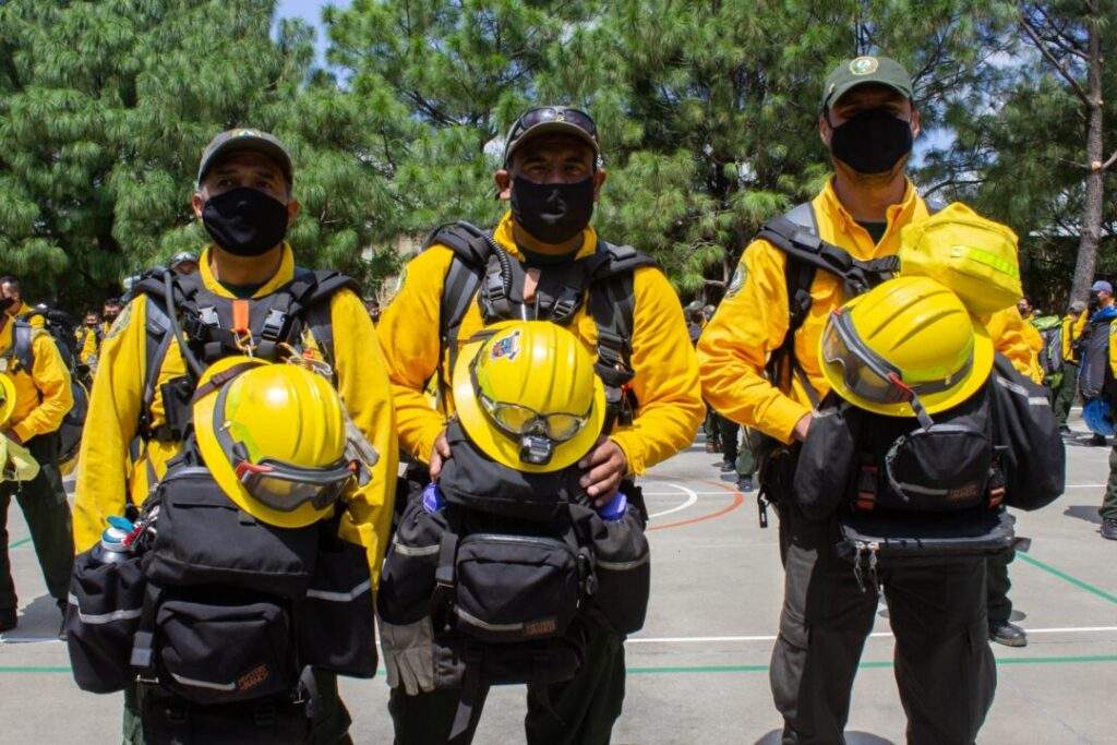 incendios forestles