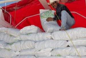 PRODUCTORES