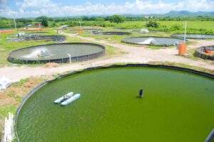 201001 AGRICULTURA CONAPESCA ABREN CONVOCATORIA PARA PROGRAMA DE ELECTRIFICACIÓN DE USO ACUÍCOLA-2