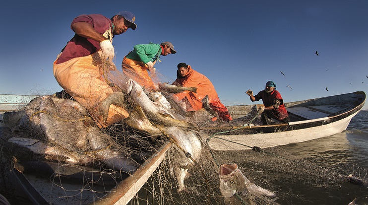 DÍA MUNDIAL DE LA PESCA
