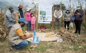 Escuelas de campo1 (2)