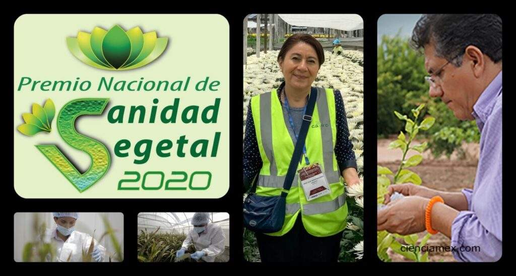 JURADO PREMIO SANIDAD 2020 -2