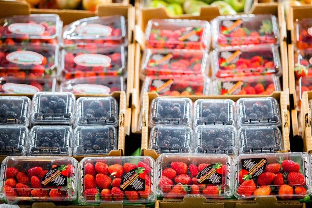 Ningún daño las exportaciones de arándano al mercado de EU