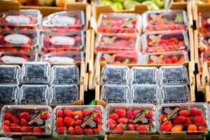 Ningún daño las exportaciones de arándano al mercado de EU