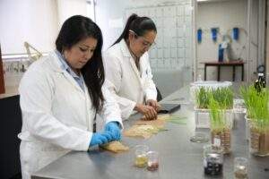 Fortalece al sector agropecuario la investigación y la tecnología