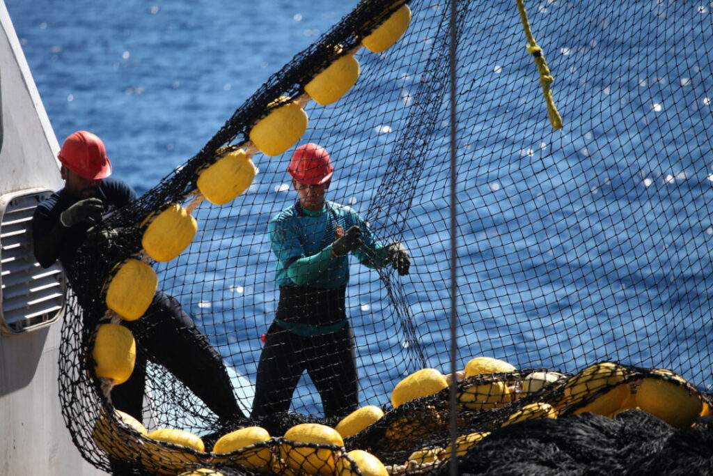 Levantan veda de atún y nuevo acuerdo para su captura en 2021