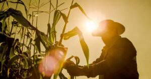 Pese a la pandemia agricultor decidió continuar con su trabajo