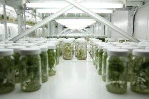 Vinculación de institutos de Investigación con productores: Sader