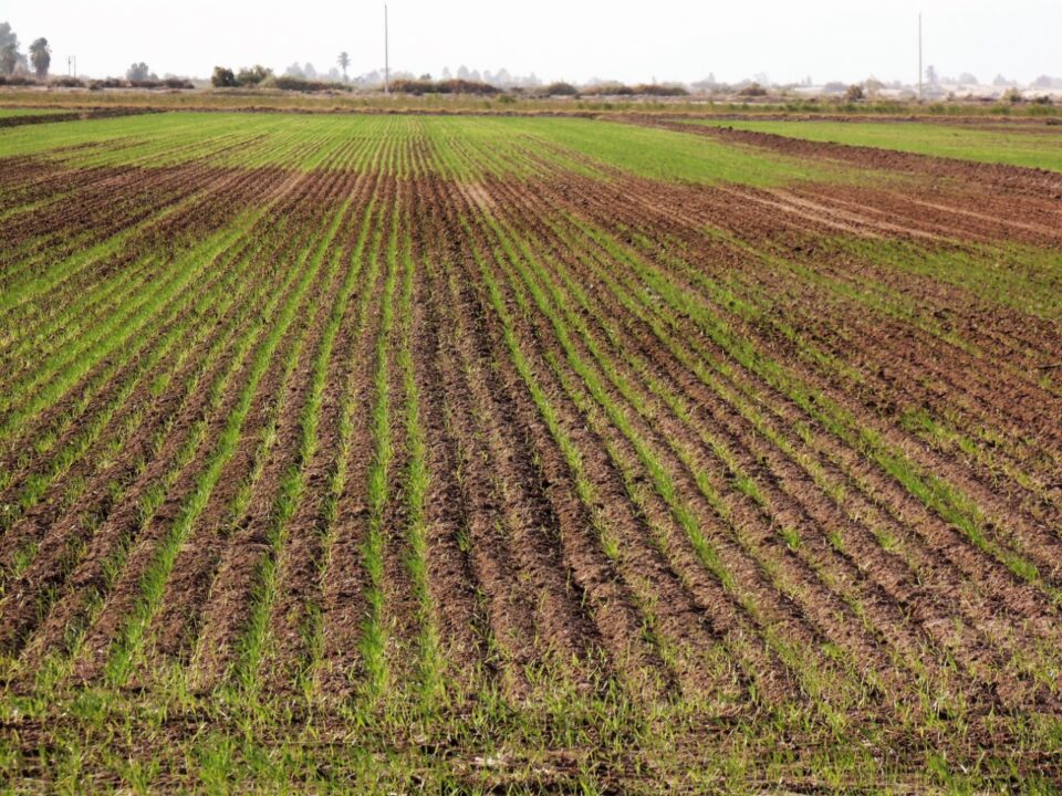 El campo no se detiene en marcha el ciclo otoño/invierno