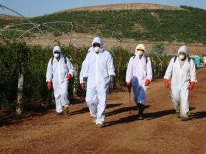 Reciben productores capacitación para buen uso de plaguicidas