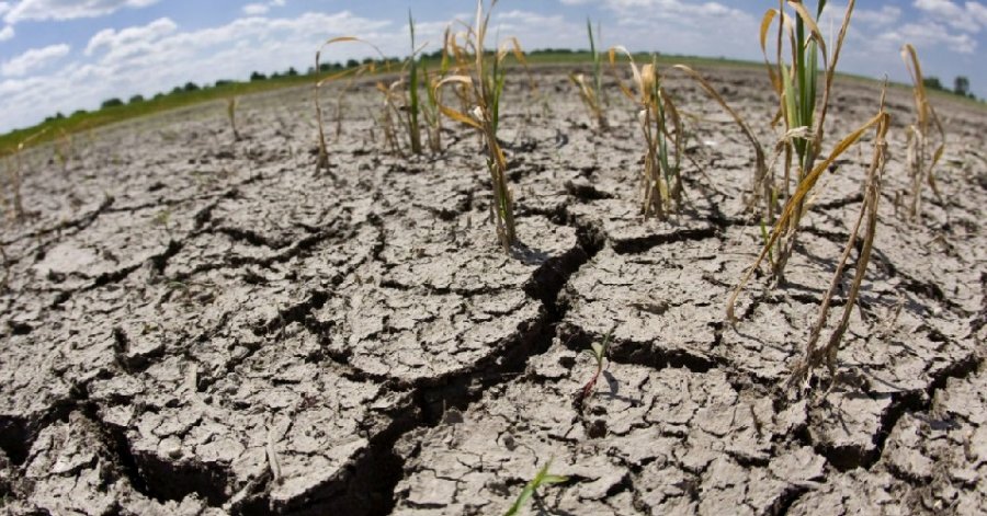 Piden incluir a Sonora al programa Sembrando Vida por sequía