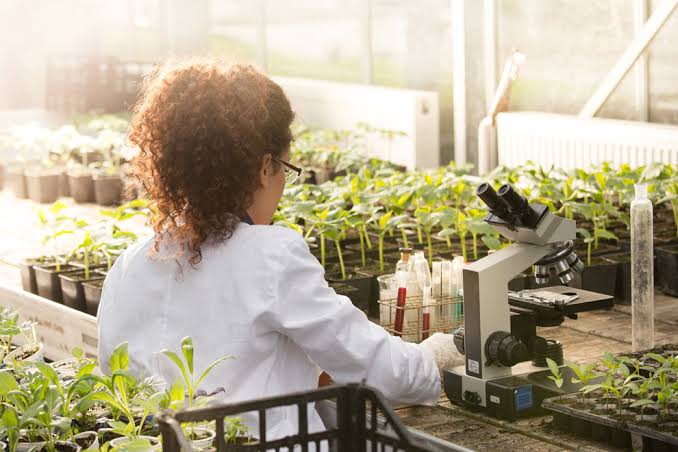 WhatsApp Image 2021-01-25 at 7.23.40 PM