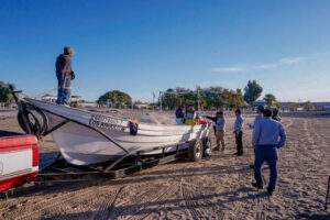 Veda temporal de lisa para proteger la reproducción de la especie