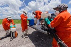 Reforzó Agricultura acciones contra la langosta centroamericana