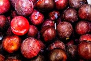 Capacita Senasica a técnicos en producción de frutos rojos contra plagas