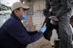 Mantiene México estatus sanitario para el abasto de alimentos