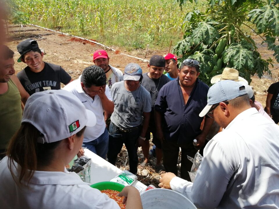 Acompañamiento técnico del Inifap a productores de pequeña escala