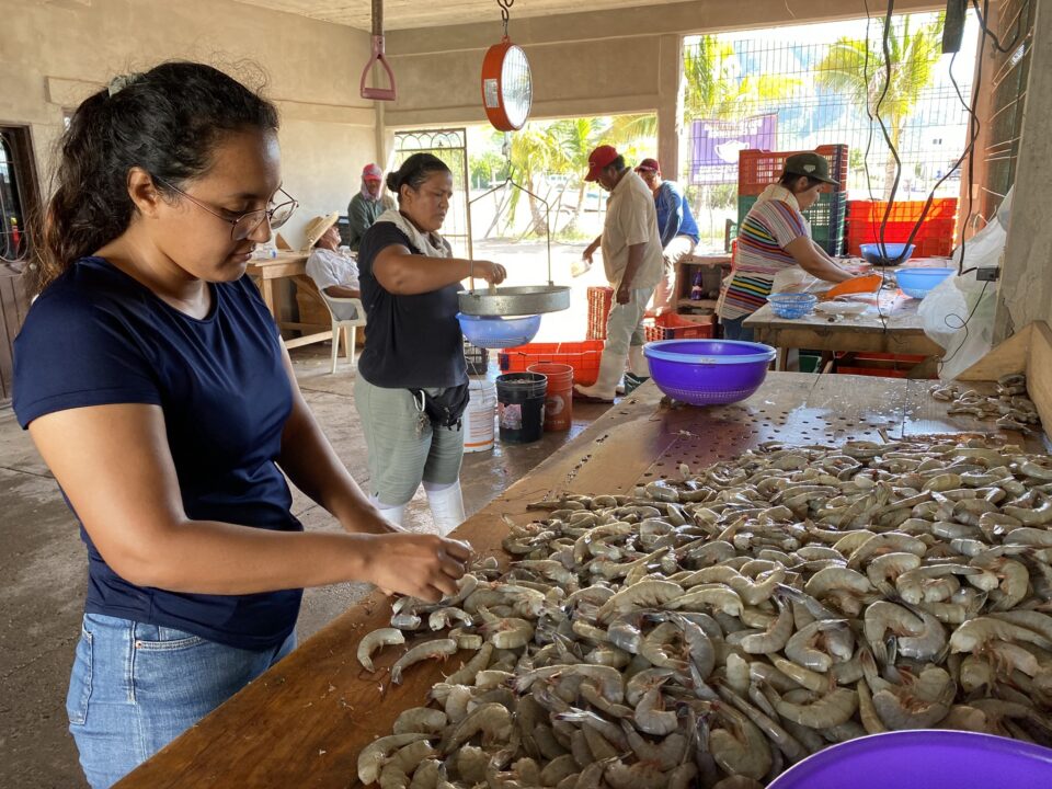 Aumenta el número de mujeres beneficiadas en el sector pesquero