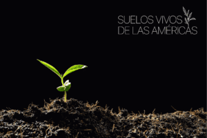 Bayer Crop Science: socio de la iniciativa “Suelos Vivos de las Américas”