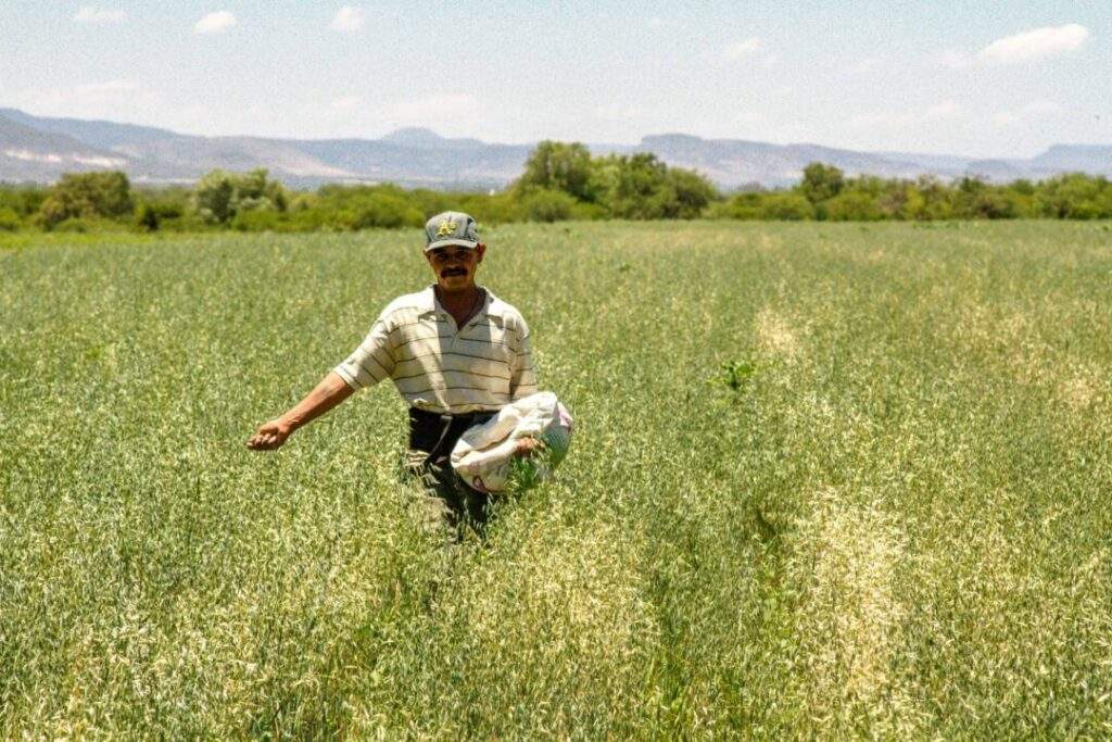 Evita el intermediarismo Financiera Nacional de Desarrollo Agropecuario