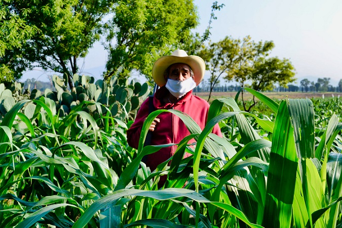 Plan de trabajo en sector agroalimentario para recuperación pospandemia
