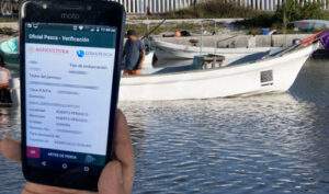 Formato digital para pesca comercial en embarcaciones mayores y menores