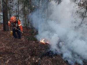 Preocupa el incendio forestal en el Parque Nacional El Tepozteco