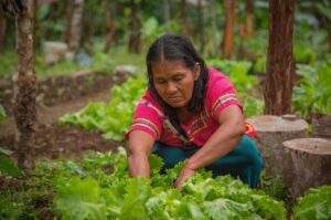 Buscan disminuir cargas de trabajo de las mujeres rurales