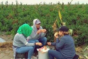 Labor esclavizante de las jornaleras agrícolas en México