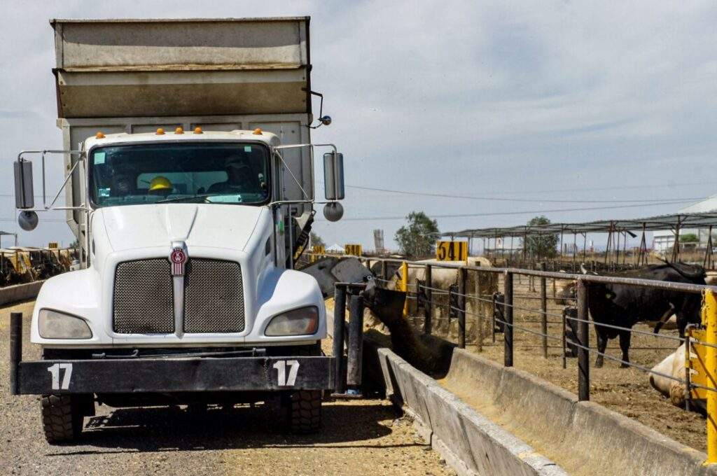 Más de 461 mil millones de pesos aporta sector pecuario a la economía