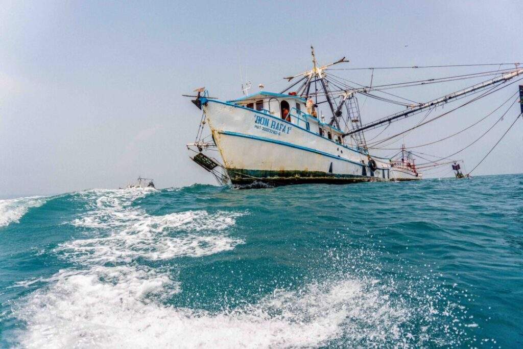 Discriminatoria por EUA la suspensión de certificación para exportar camarón