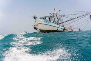 Discriminatoria por EUA la suspensión de certificación para exportar camarón