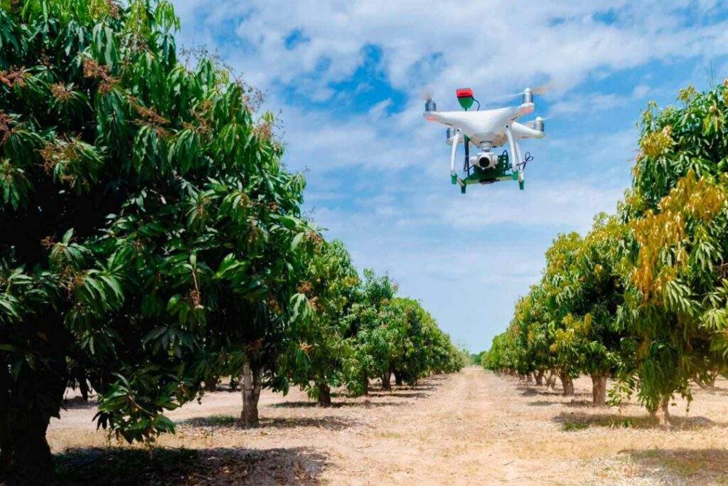 Cooperación en proyectos de agricultura sustentable México y países árabes